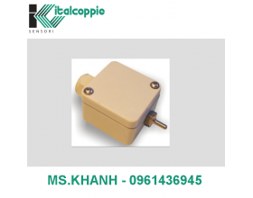 TEMPERATURE PROBE WITH JUNCTION BOX AND PROGRAMMABLE 4÷20 MA OUTPUT