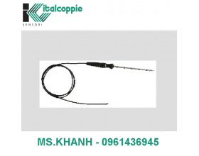 PROBE FOR PROFESSIONAL OVENS WITH STRAIGHT HANDLE