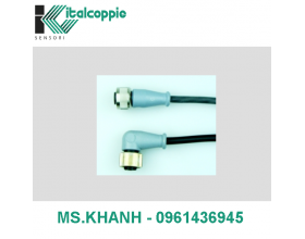 EXTENSION CABLE M12 WITH 4-WIRE SILICONE RUBBER INSULATED CABLE
