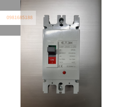 Thiết bị đóng cắt điện MCB DC 250A CAM1-250DC-2-250 ETEK