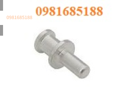 CYMA 35