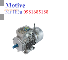 Đong co 22 kw motive viet nam ATDC 180L-4