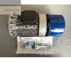 Động cơ thắng MGM 0.37 kW GA02431000000