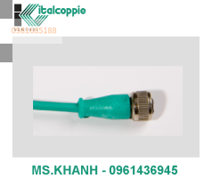 EXTENSION CABLES M12 WITH COMPENSATED CABLE TYPE K SILICONE RUBBER INSULATION
