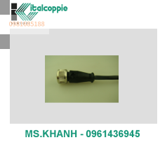 EXTENSION CABLES M12 WITH COMPENSATED CABLE TYPE J SILICONE RUBBER INSULATION
