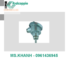 THERMOCOUPLE WITH CONNECTION HEAD