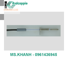 RTD Ø 3 MM PROBE WITH FIXING PLATE