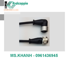 EXTENSION CABLE M12 WITH 2-WIRE TPE INSULATED CABLE