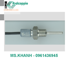 COMPACT PT1000 RTD PROBE WITH M10X1,25 THREADING AND INTEGRATED CABLE
