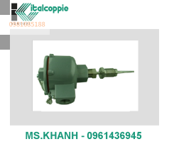 DOUBLE PT100 PROBE WITH TAPERED THERMOWELL