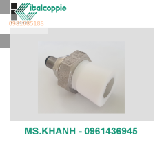 PT 100 COMPACT PROBE FOR SCARPED SURFACES