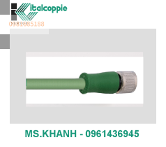 EXTENSION CABLES M8 WITH COMPENSATED CABLE TYPE K SILICONE RUBBER INSULATION