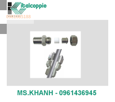COMPRESSION SLIDE FITTINGS IN PTFE SEALANT GLAND + STAINLESS STEEL PRESSING BUSH FOR Ø 2 MM