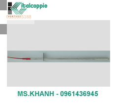 DOUBLE PT 100 PROBE FOR THERMOSTATIC BATHS (2 MEASUREMENT POINTS)
