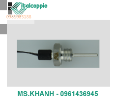 COMPACT PT 1000 PROBE WITH INTEGRATED CABLE AND G 1/4 THREADING