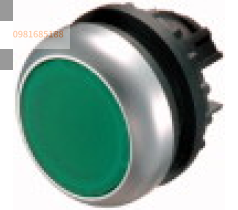 Nút nhấn khởi động M22-D-G