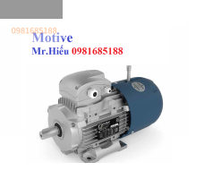 Mô tơ điện ATDC 132SB-2