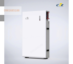 Pin lưu trữ CFE-WL-15