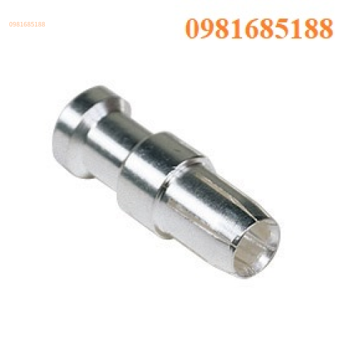CGFA 25