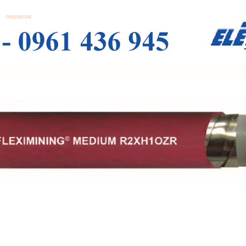 FLEXIMINING MEDIUM R2XH1OZR