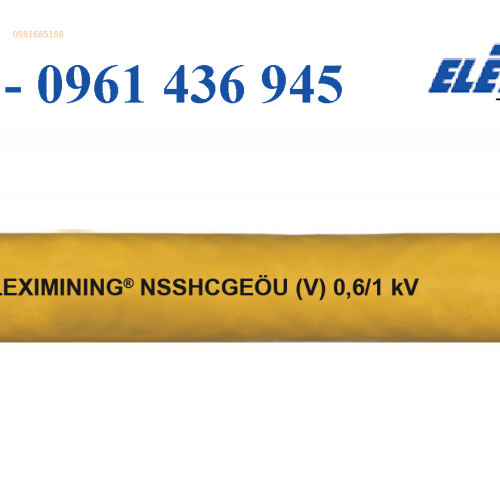FLEXIMINING (N)SSHCGEÖU (V)