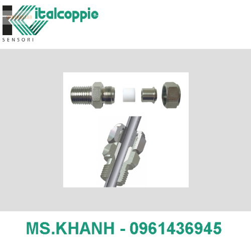 COMPRESSION SLIDE FITTINGS IN PTFE SEALANT GLAND + STAINLESS STEEL PRESSING BUSH FOR Ø 3 MM