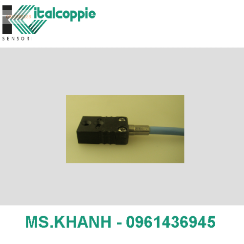MINIATURE SIZE EXTENSION CABLES WITH COMPENSATED CABLE TYPE J SILICON RUBBER INSULATION