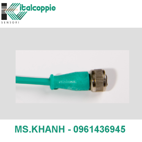 EXTENSION CABLES M12 WITH COMPENSATED CABLE TYPE K SILICONE RUBBER INSULATION