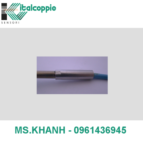 RESISTANCE TEMPERATURE DETECTOR Ø 6 MM WITH METALLIC TRANSITION L.T. AND INTEGRATED CABLE