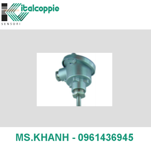 THERMOCOUPLE WITH CONNECTION HEAD