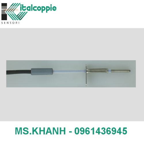 RTD Ø 3 MM PROBE WITH FIXING PLATE