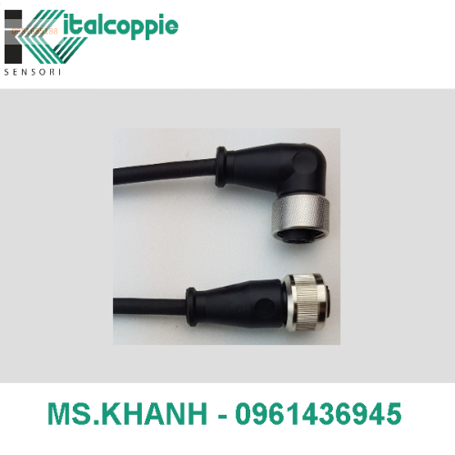 EXTENSION CABLE M12 WITH 2-WIRE TPE INSULATED CABLE