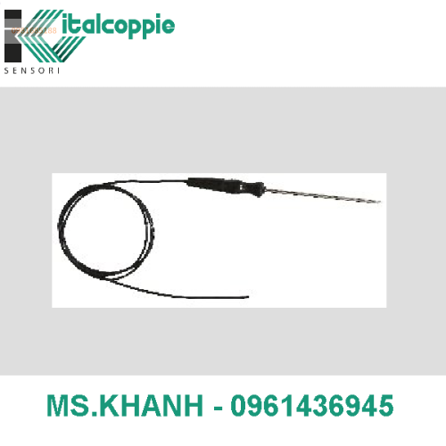 PROBE FOR PROFESSIONAL OVENS WITH STRAIGHT HANDLE