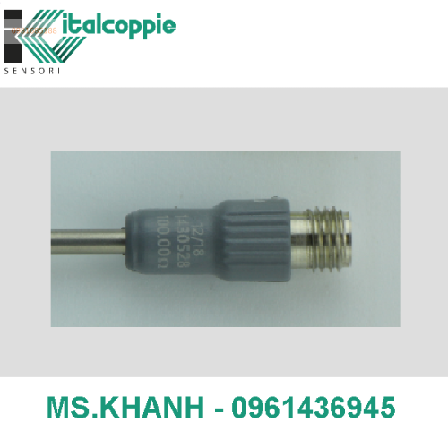 RTD WITH M8 CONNECTOR