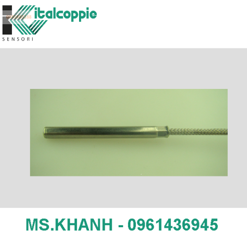 RESISTANCE TEMPERATURE DETECTOR IN TUBE WITH ARMOURED FIBREGLASS CABLE