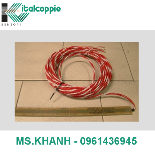 FLAT RTD FOR BIG ELECTRICAL MACHINES