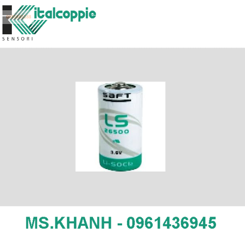 HIGH CAPACITY LITHIUM BATTERY