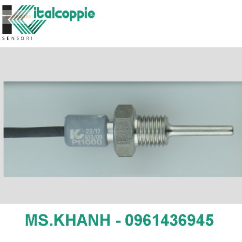 COMPACT PT1000 RTD PROBE WITH M10X1,25 THREADING AND INTEGRATED CABLE