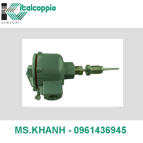 DOUBLE PT100 PROBE WITH TAPERED THERMOWELL