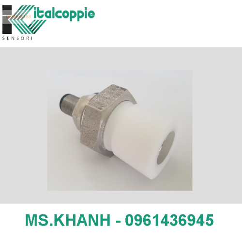 PT 100 COMPACT PROBE FOR SCARPED SURFACES