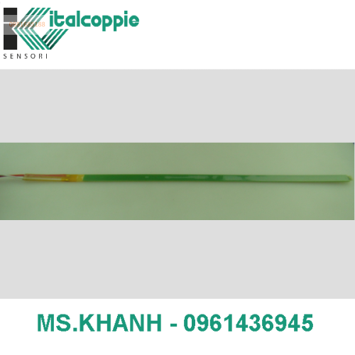 FLAT RTD FOR ELECTRICAL MACHINES
