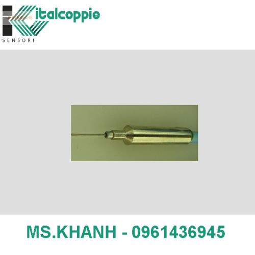 THERMOCOUPLE TYPE T Ø 0,5 mm WITH INTEGRATED CABLE