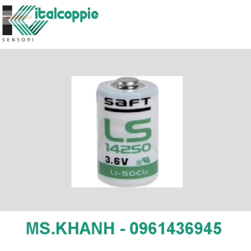 LITHIUM BATTERY