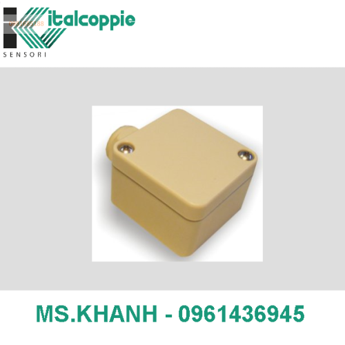 TEMPERAUTRE PROBE WITH JUNCTION BOX AND PROGRAMMABLE 4÷20 MA OUTPUT