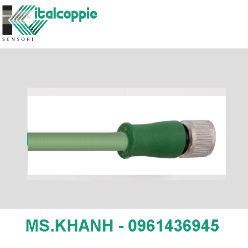 EXTENSION CABLES M8 WITH COMPENSATED CABLE TYPE K SILICONE RUBBER INSULATION