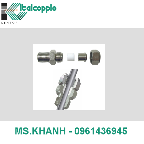 COMPRESSION SLIDE FITTINGS IN PTFE SEALANT GLAND + STAINLESS STEEL PRESSING BUSH FOR Ø 2 MM