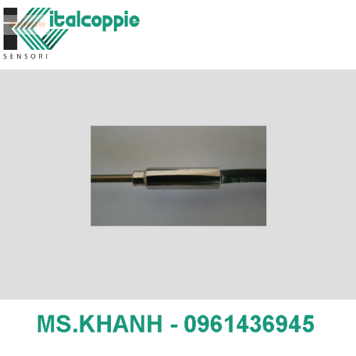 RESISTANCE TEMPERATURE DETECTOR Ø 1,5 – 2 MM WITH METALLIC TRANSITION L.T AND INTEGRATED CABLE