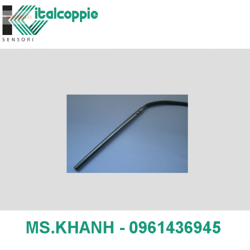 RESISTANCE TEMPERATURE DETECTOR IN TUBE WITH 2-WIRE SILICONE RUBBER CABLE  