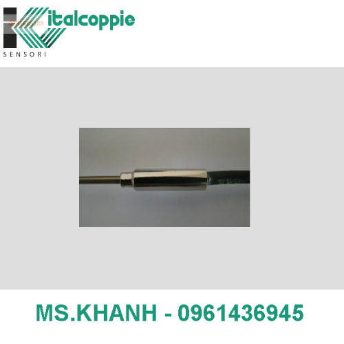 RESISTANCE TEMPERATURE DETECTOR Ø 3 – 4,5 MM WITH METALLIC TRANSITION L.T. AND INTEGRATED CABLE