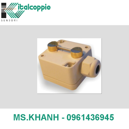 TEMPERATURE PROBE WITH JUNCTION BOX AND PROGRAMMABLE 4÷20MA OUTPUT